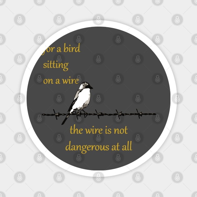 For A Bird Sitting On A Wire The Wire Is Not Dangerous At All Magnet by taiche
